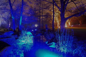 Winterlichter Luisenpark_008841
